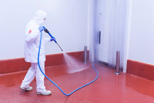 Best Residential House Exterior Washing  in Senoia, GA